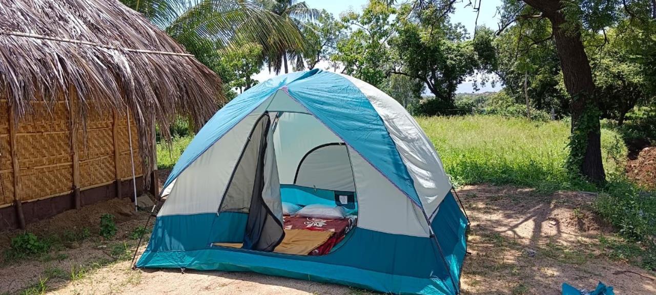 Banana Tree Home Stay 함피 외부 사진
