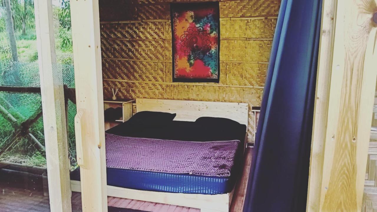 Banana Tree Home Stay 함피 외부 사진