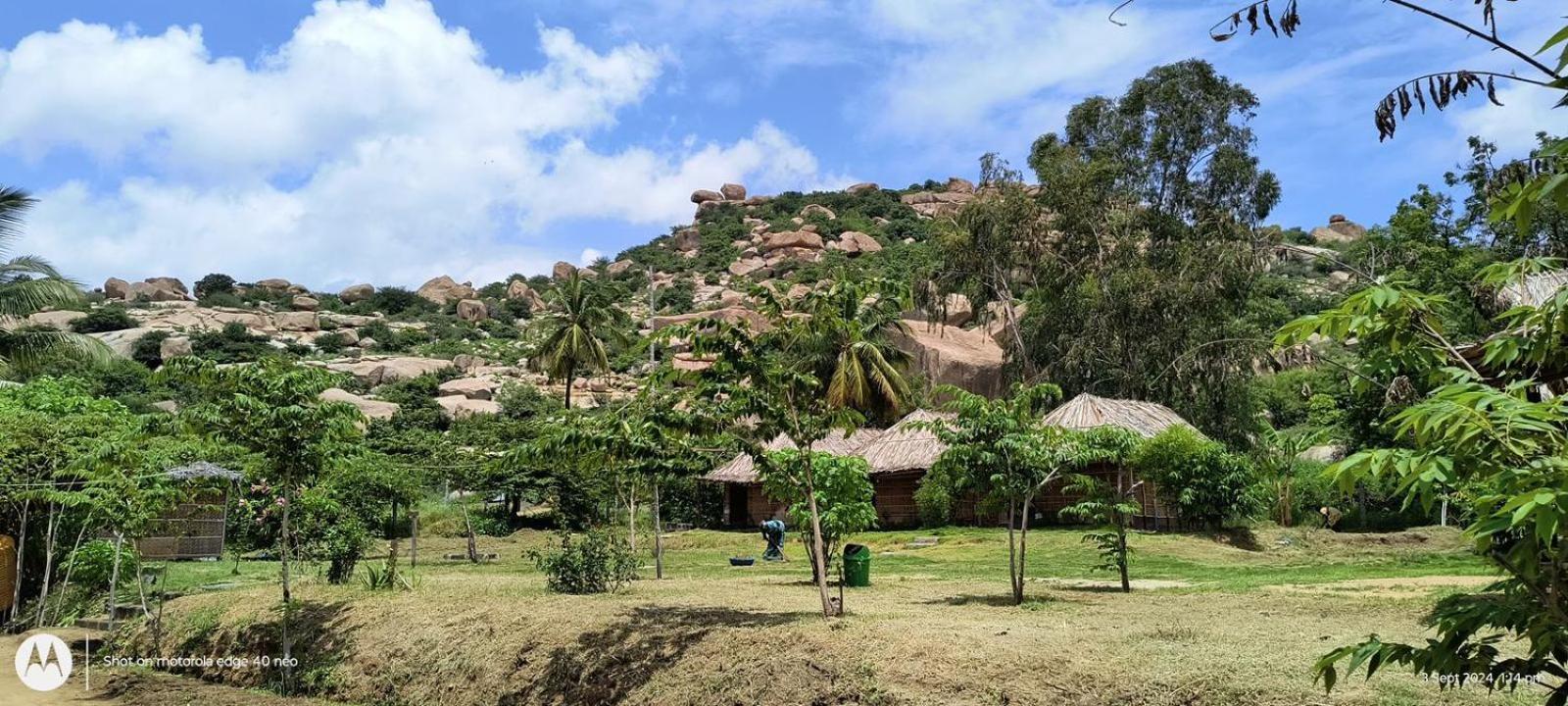 Banana Tree Home Stay 함피 외부 사진